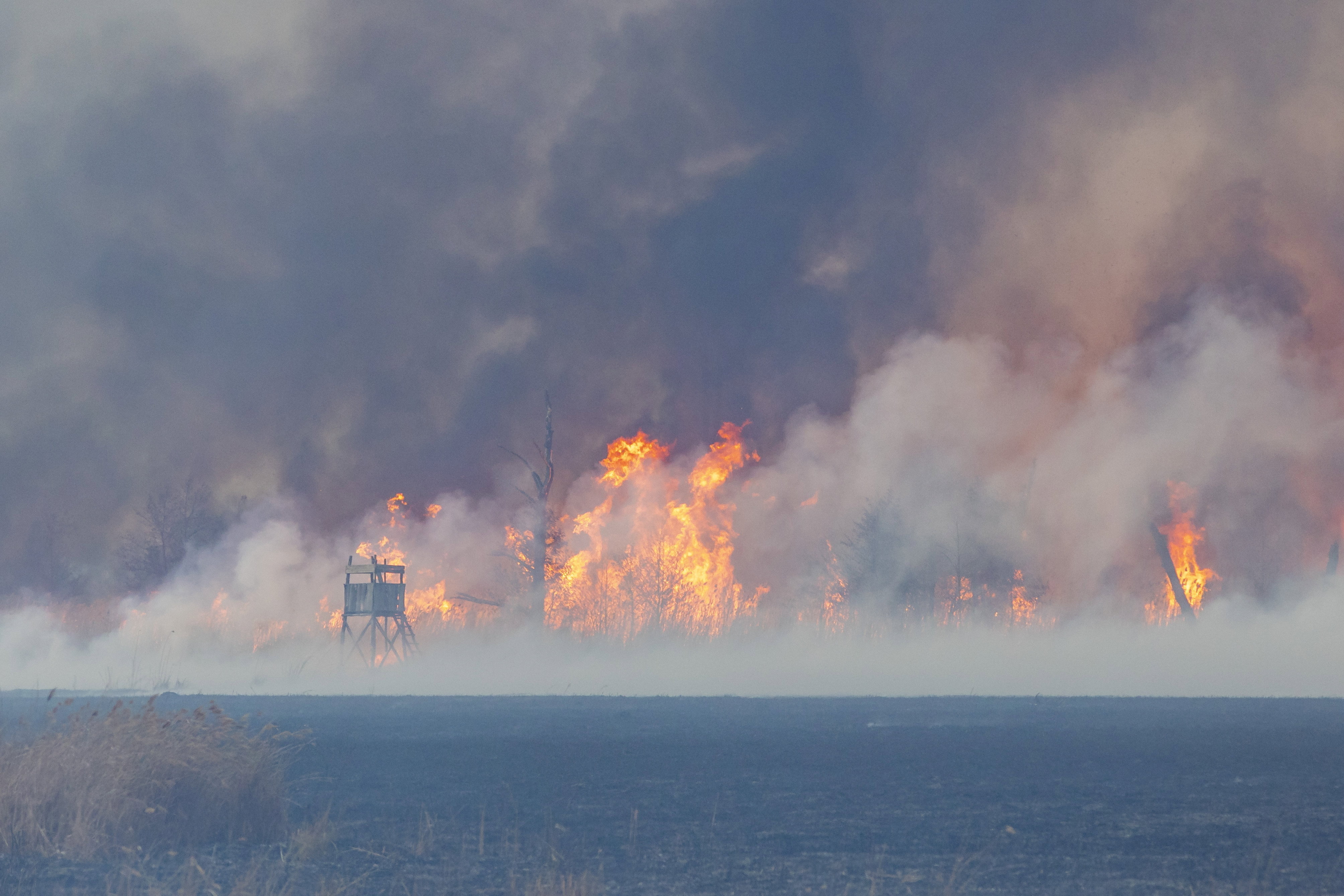 Tűz volt a Kis-Balatonnál – Fotók a hatalmas füstről és a lángokról