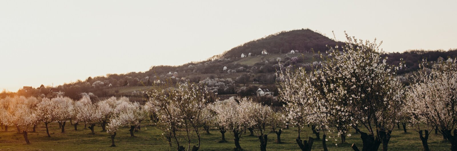 Ezeket tedd a tavaszi Balatonnál! – Bakancslista korlátozások idejére
