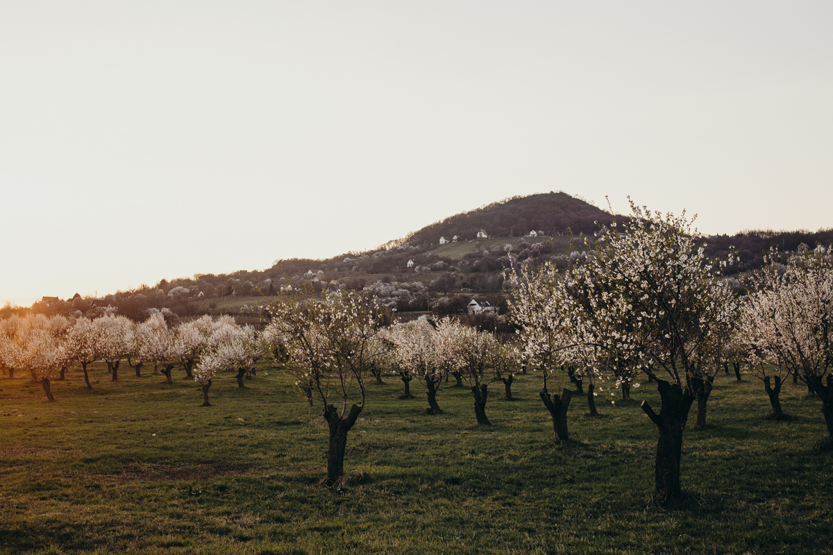 Ezeket tedd a tavaszi Balatonnál! – Bakancslista korlátozások idejére
