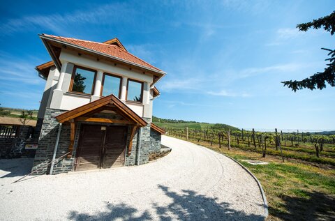 Villa Tolnay Winery