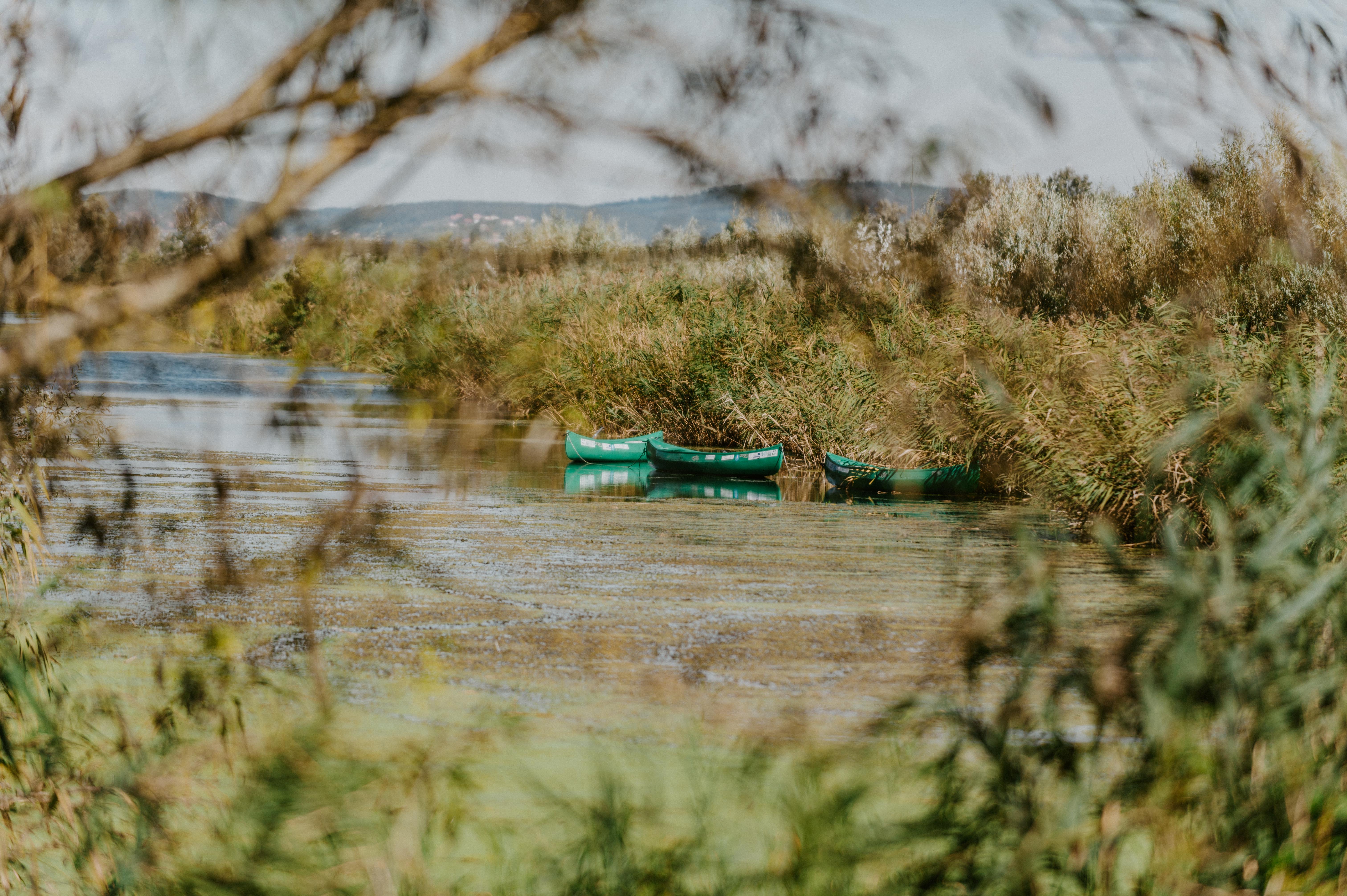 A puszta jelenlétünkkel is hatással vagyunk a tóra – Mit tehetünk a Balaton vízminőségének megóvásáért?