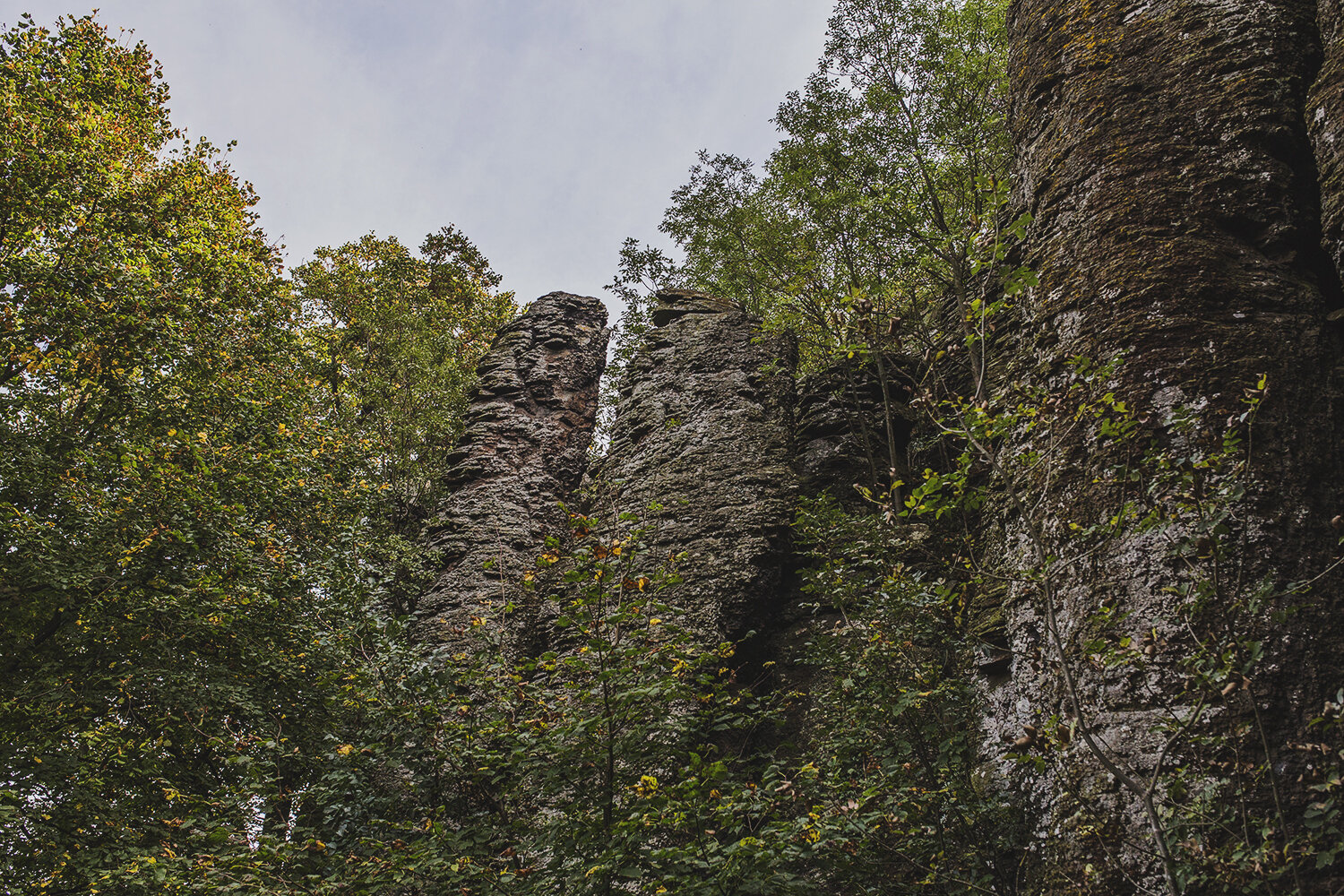 A kőből faragott orgonák, amiket ősszel látni kell - Túra a Szent György-hegyen