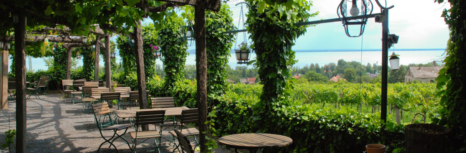 Drink wine in an arboretum! - 10 must-see wine terraces at Lake Balaton