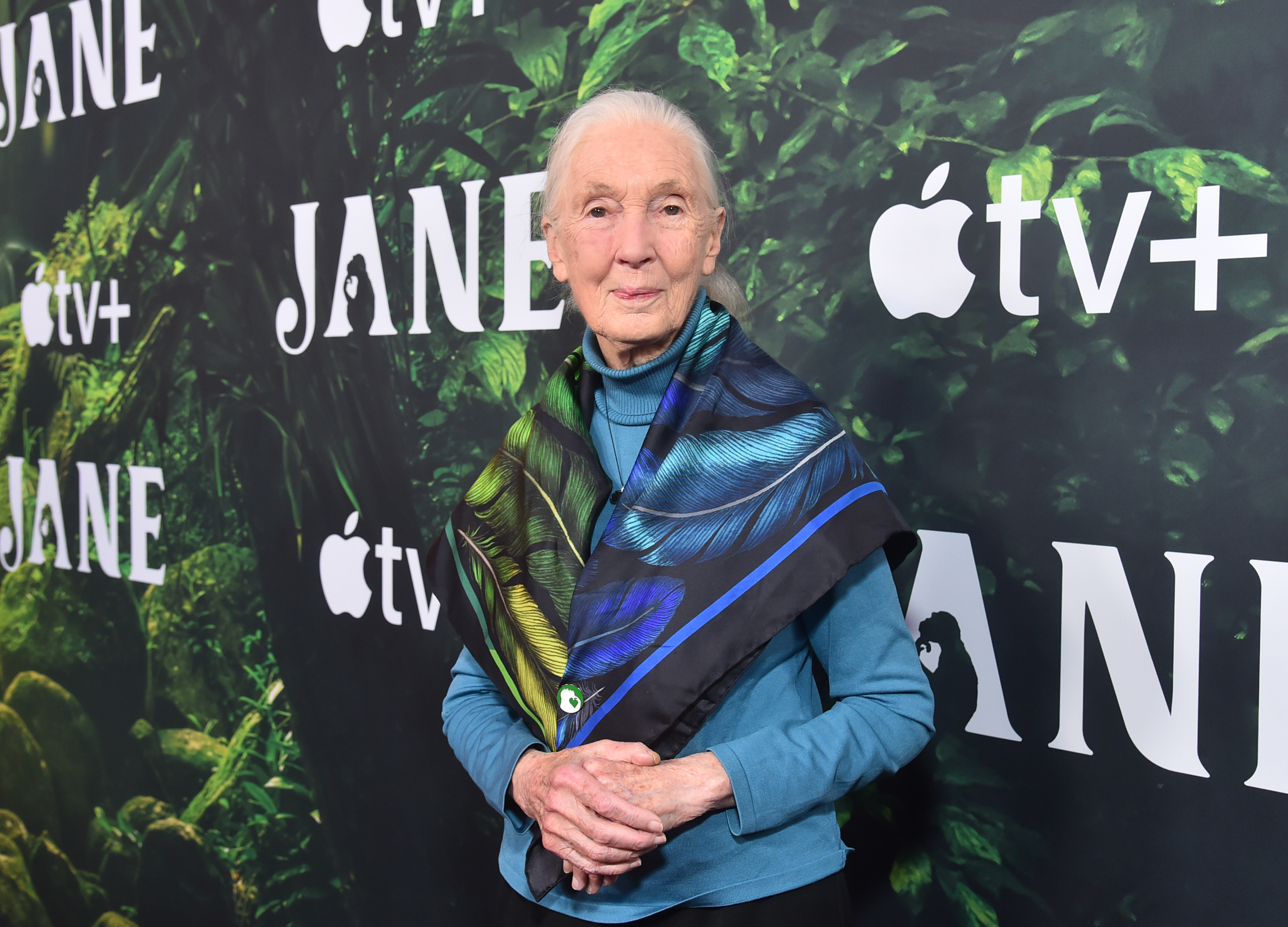 Balatonalmádi vegán étterem készítette Jane Goodall ebédjét