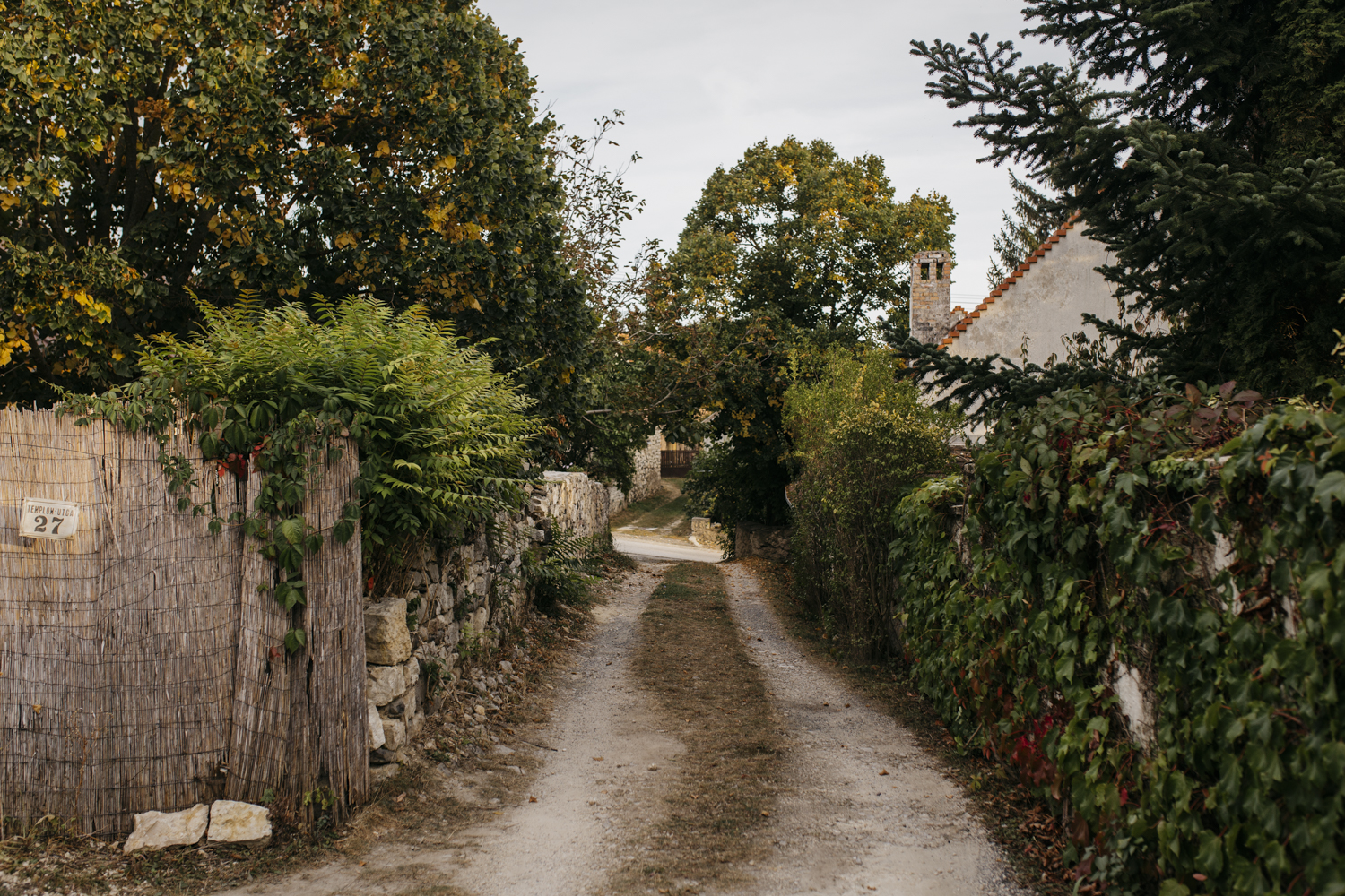 A falu, ahol találkozik a hit, a bor és a természet – Szentantalfa képeken