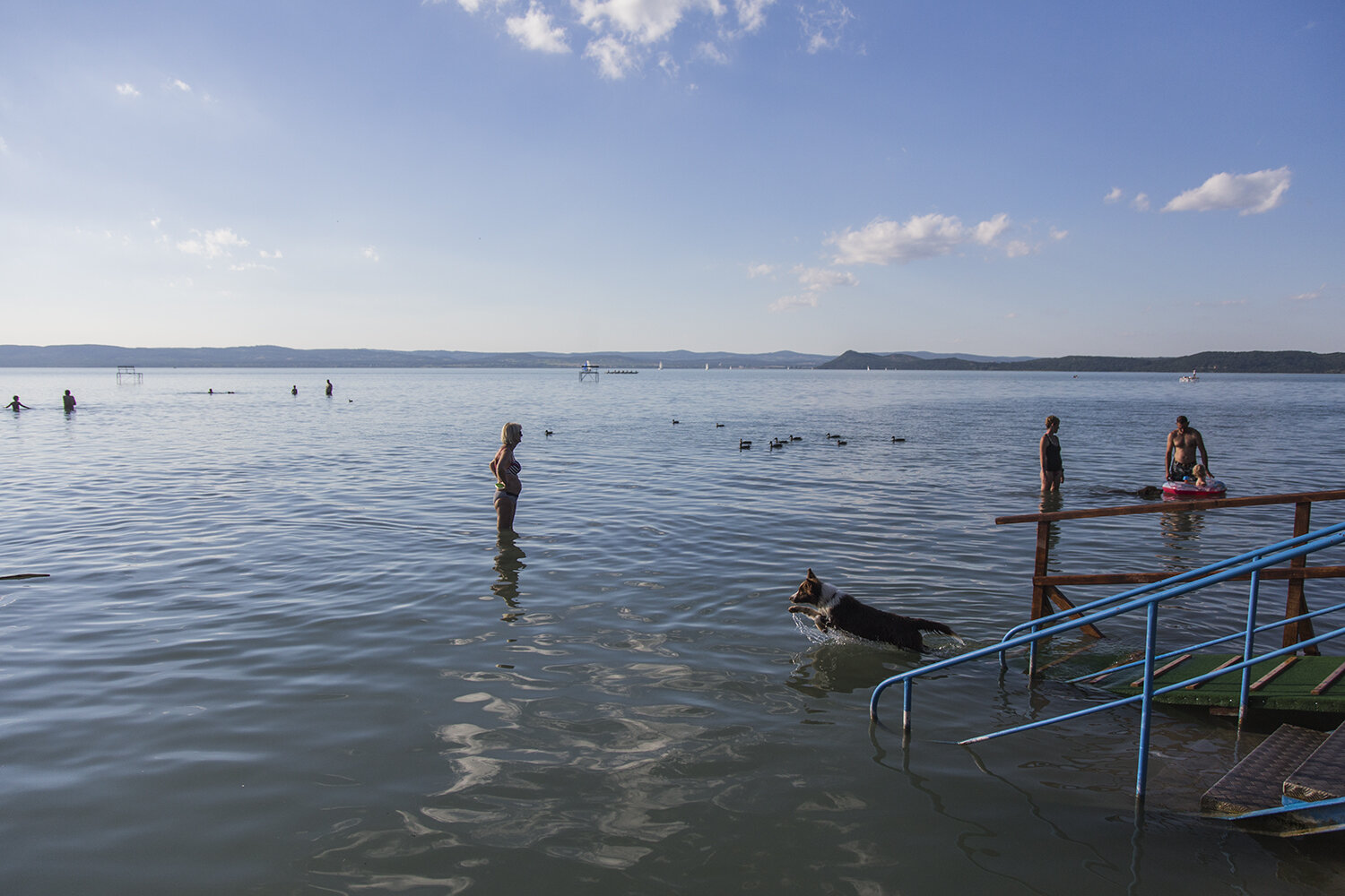 Egy napra nagyon sok kutya foglalja el a balatonfűzfői strandot