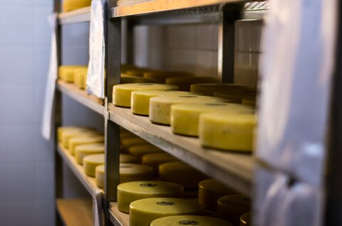 Vászolyi Cheese Manufactory