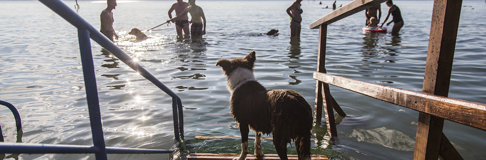 Hol fürödhetnek kutyák a Balatonban?