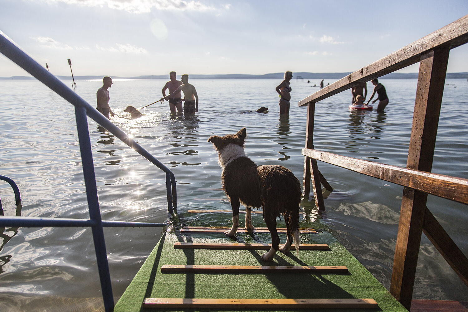 Hol fürödhetnek kutyák a Balatonban?