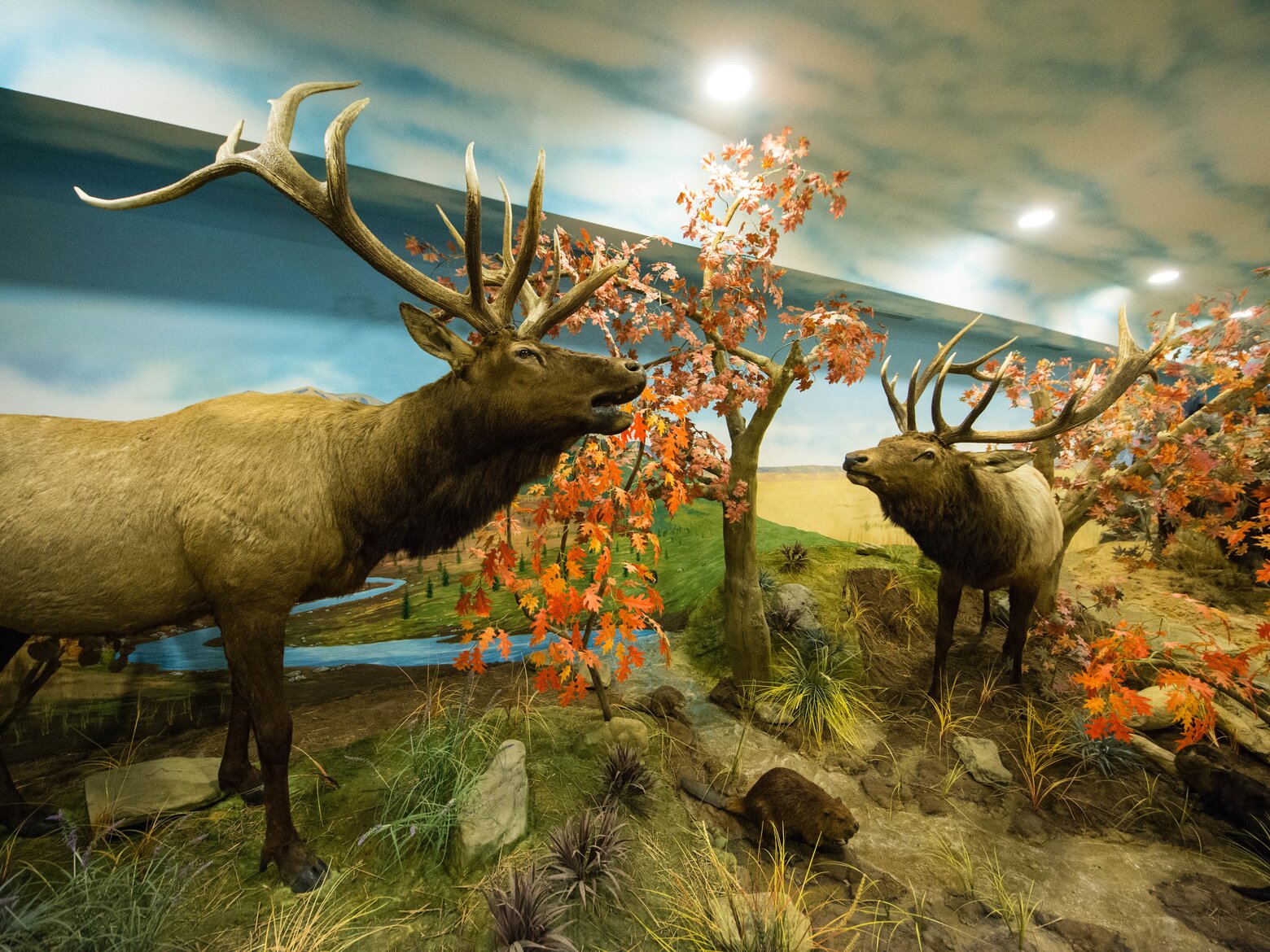 történelmi modellvasút kiállítás és vadászati múzeum