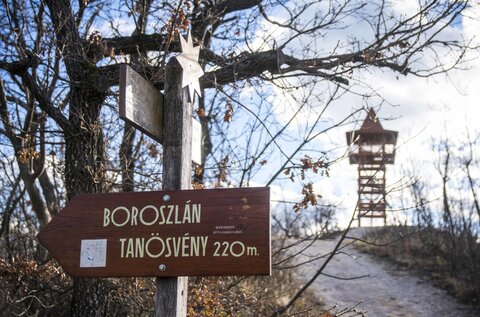 Boroszlán Study Trail – Balatongyörök