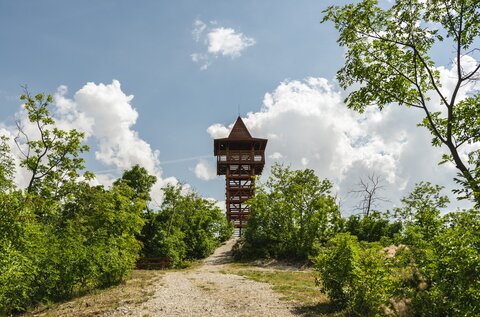 Bél Mátyás Observation Tower